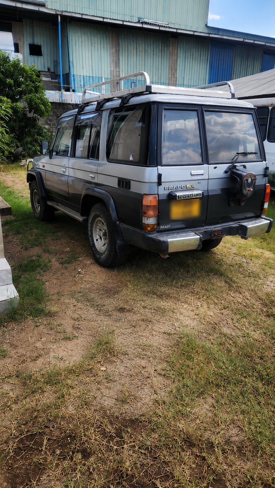 Tours & Safari